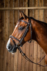 Dy'on Working Collection Flash Noseband Bridle With Snap Hooks